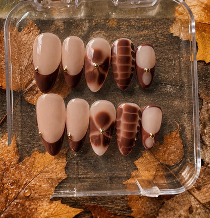 Cocoa Bloom