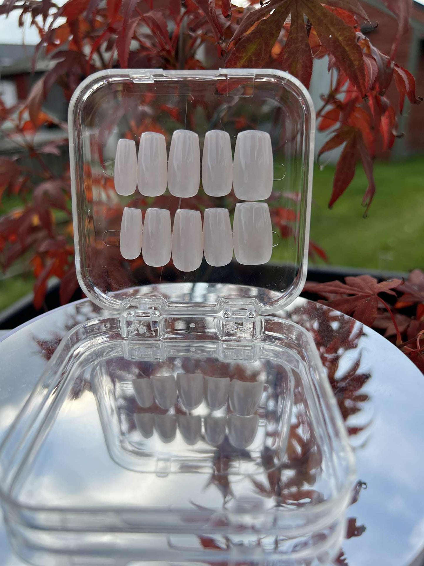 Snowwhite